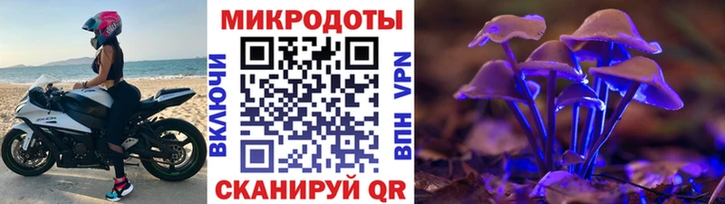 Купить  Арамиль  Галлюциногенные грибы мицелий 
